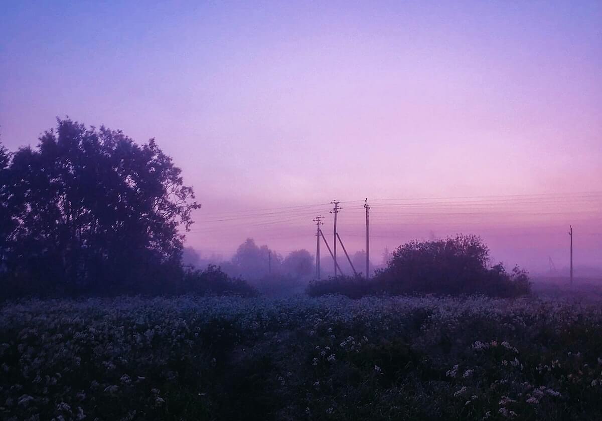 新华社体育部评出2025年国际十佳运动员